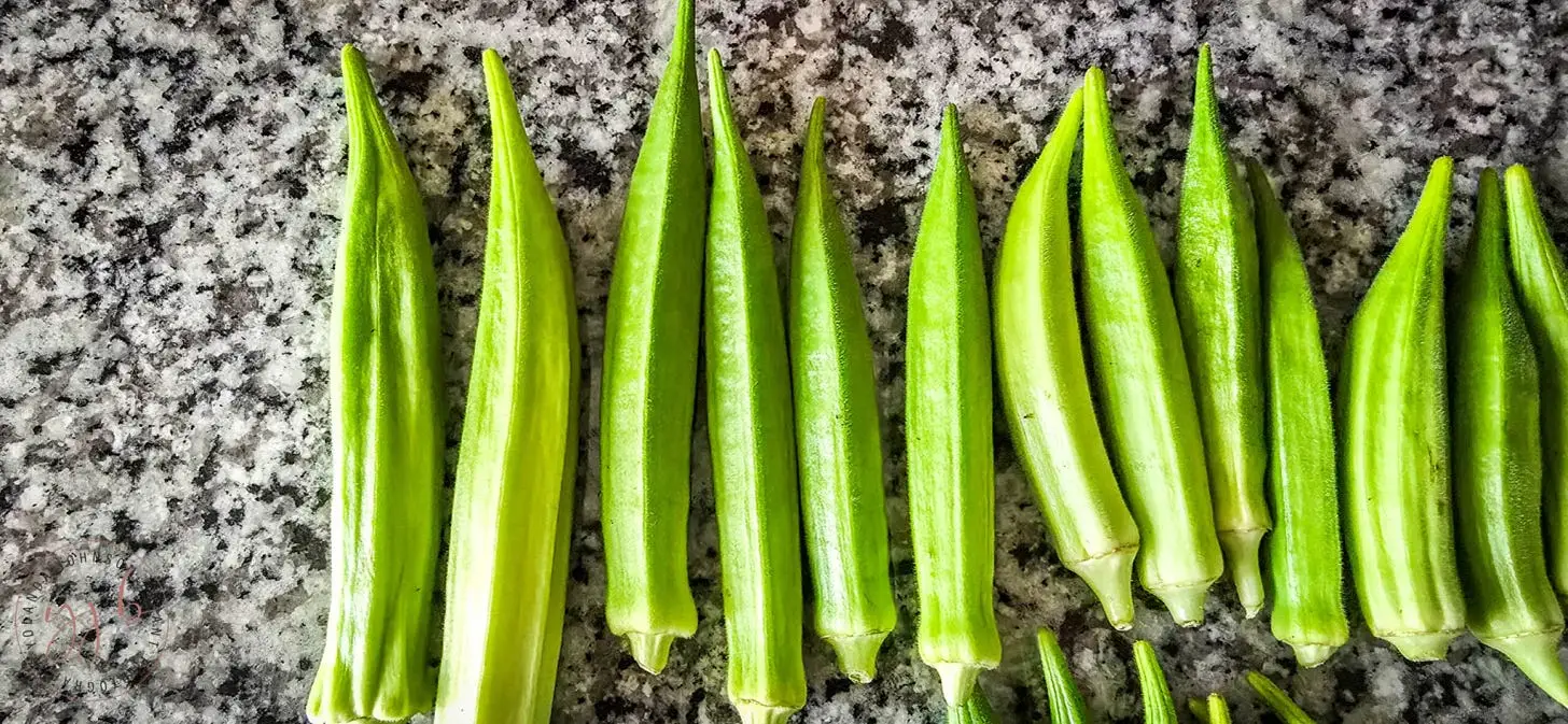 The Bourgeois Gardener, Yolanda Johnson-Bryant, North Texas Gardener, Zone 8B