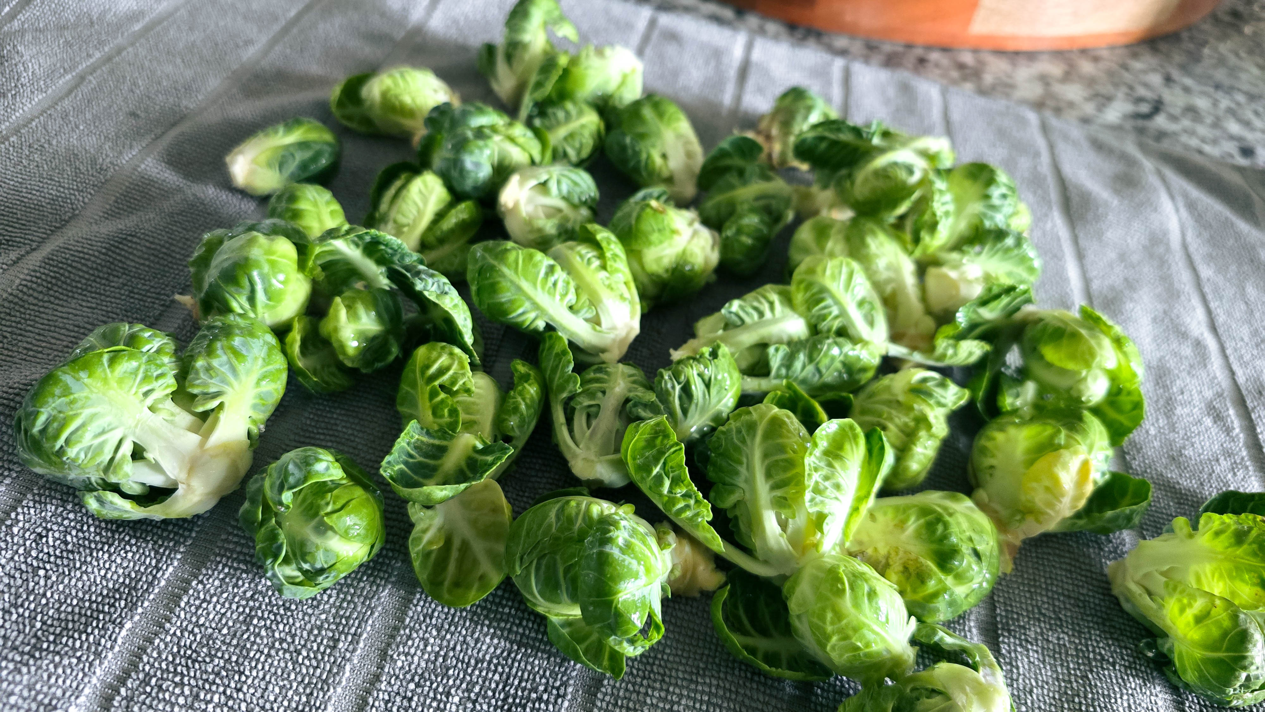 The Bourgeois Gardener, Yolanda Johnson-Bryant, North Texas Gardener, Zone 8B